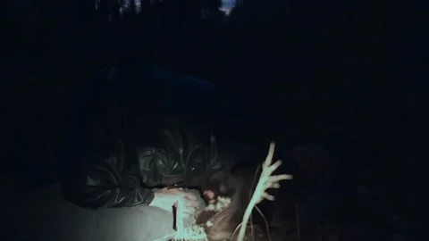 Human with flashlight walking in night forest finding zombie eating dead woman Stock Footage 141182772