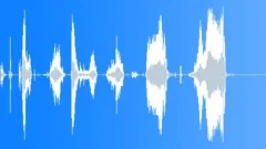 HUMAN, FOLEY, VOMITSound Effect