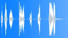 HUMAN, FOLEY, VOMITSound Effect