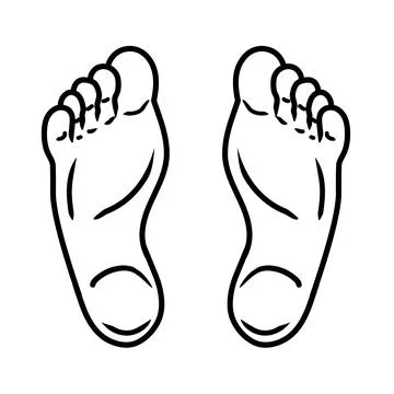Human foot Line art vector Stock Illustration