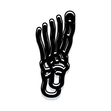 Human foot skeletal structure illustration with bones Stock Illustration