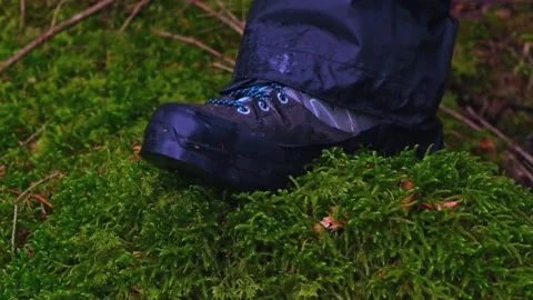 A human foot smacks of moss in slow motion. Stock Footage 197339181