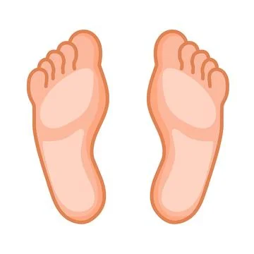 Human foot vector Stock Illustration