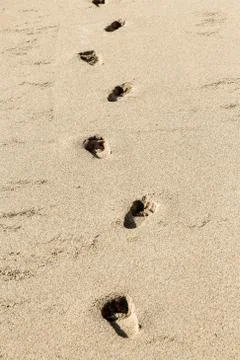 Human footprints in the beach Stock Photos