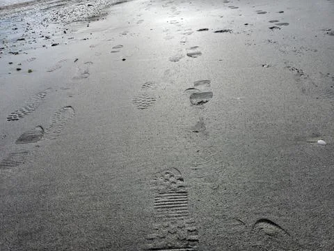 Human footprints on beach sand Stock Photos