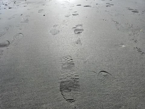 Human footprints on beach sand Stock Photos