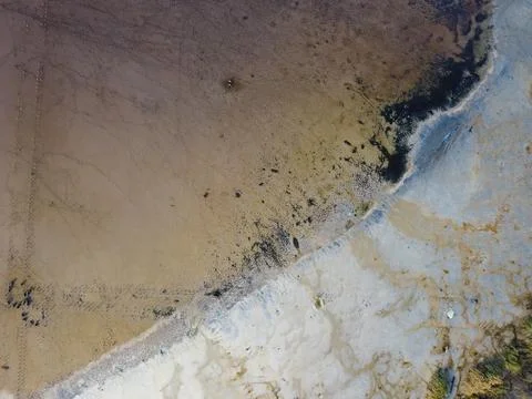 Human footprints create a striking pattern in the intricate texture of a swamp Foto stock