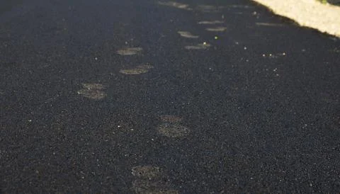 Human footprints on the pavement Stock Photos