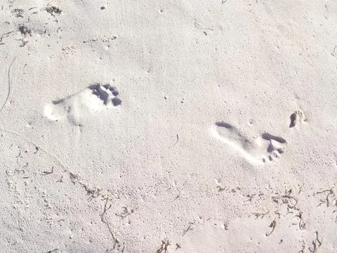 Human footprints Stock Photos