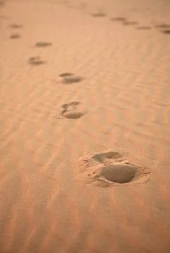 Human footprints Stock Photos