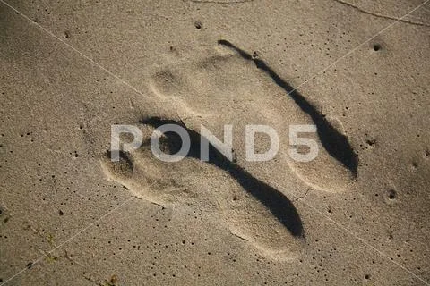 Human footprints on the sand Stock Photos