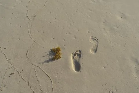 Human footprints in the sand Fotos de archivo