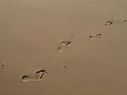 Human footprints on the sandy beach Stock Photos