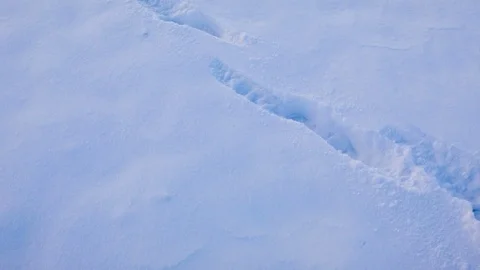 Human footprints in the snow Vídeo Stock 81050799