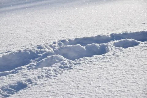 Human footprints in the snow. Stock Photos