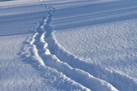Human footprints in the snow on the plain. Stock Photos