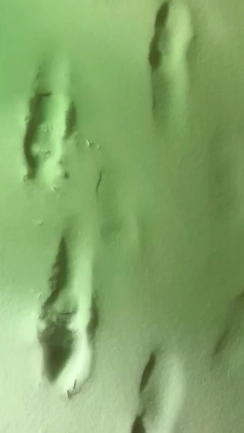 Human footprints in the snow in winter under a twinkling colorful light Stock Footage 285739148