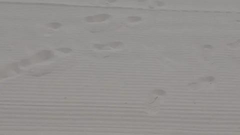 Human footprints on the soft, raked sand. Stock Footage 344093898
