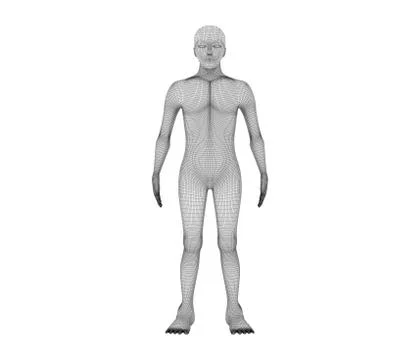 Human front view. Wireframe model with lines on white background, artificial  イラスト素材