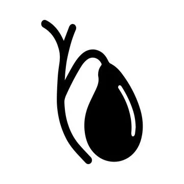 Human gallbladder with connected bile ducts medical vector illustration Stock Illustration