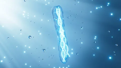 Human genes and chromosomes, 3d rendering. Stock Footage 283640996