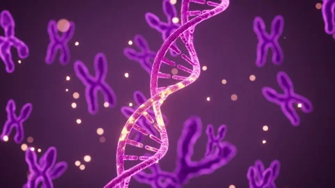 Human genes and chromosomes, 3d rendering. Stock Footage 287740034