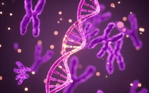 Human genes and chromosomes, 3d rendering. Stockillustratie