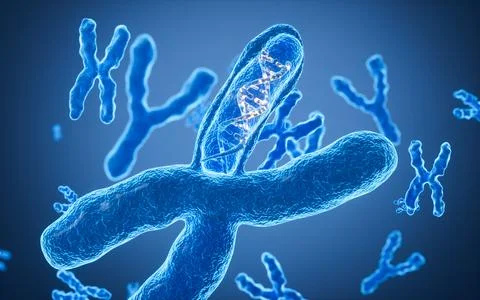 Human genes and chromosomes, 3d rendering. Stockillustratie