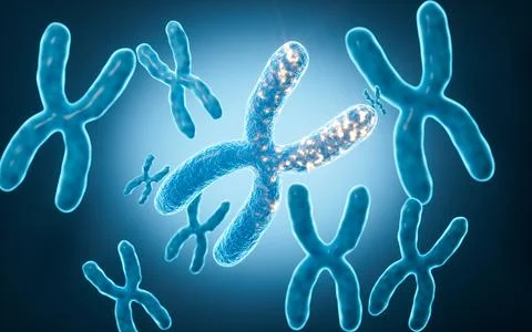 Human genes and chromosomes, 3d rendering. Stockillustratie