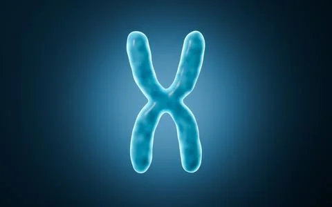 Human genes and chromosomes, 3d rendering. Stockillustratie