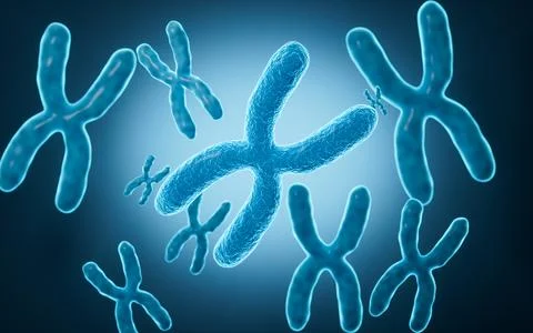 Human genes and chromosomes, 3d rendering. Stockillustratie