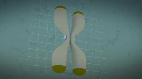 Human genetic material for analysis Stock Footage 56018806