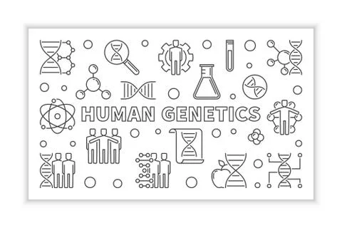 Human Genetics vector minimal banner in outline style Stock Illustration