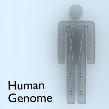 Human Genome concept Stock Illustration