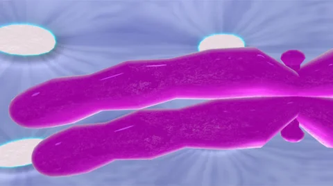 HUMAN GENOME 動画素材 43062164