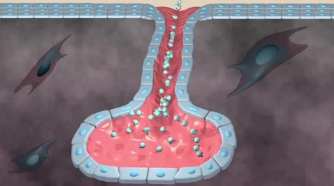 Human gland secreting material for the external environment Video stock 56917237