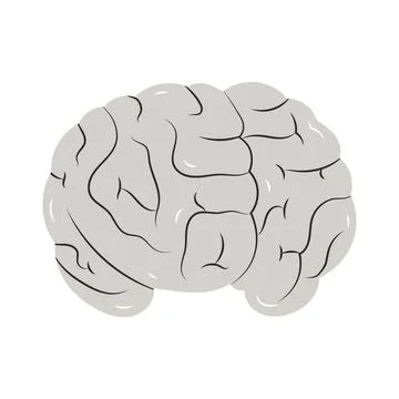 Human gray brain Stock Illustration