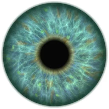 Human green eye iris closeup Stock Illustration