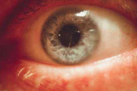 Human grey Eye Macro Close-Up Stock Photos