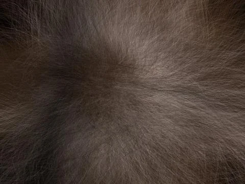 Human Hair Stock Illustration