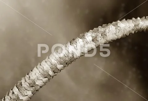 Human hair microscope, 3D illustration Stock Illustration