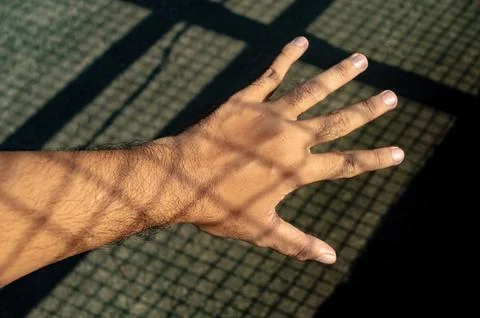 A human hand is bathed in sunlight, casting a distinct shadow pattern from .. Stock Photos