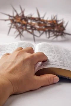 Human hand on bible Stock Photos