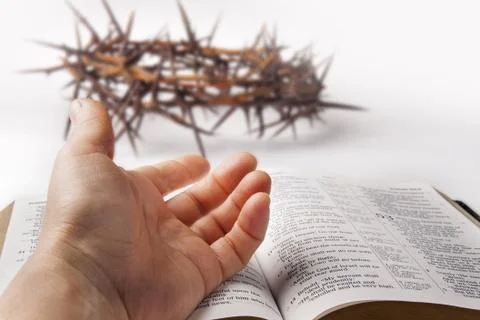 Human hand on bible Stock Photos
