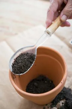Human hand with a big spoon adding soil to a clay pot. Directly above. Stock Photos