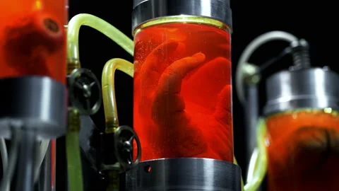 Human hand, brain and eye with blood capillaries in cylindrical glass vessels Stock Footage 122670135