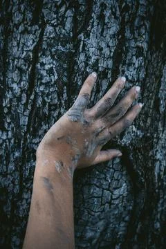 Human hand on charred tree bark after forest fire damage Stock Photos