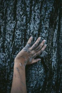 Human hand on charred tree bark after forest fire damage Stock Photos