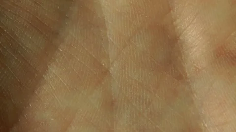 Human hand closeup 스톡 동영상 11847234