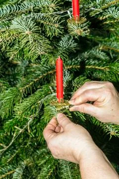 Human hand decorates a christmas tree Stock Photos